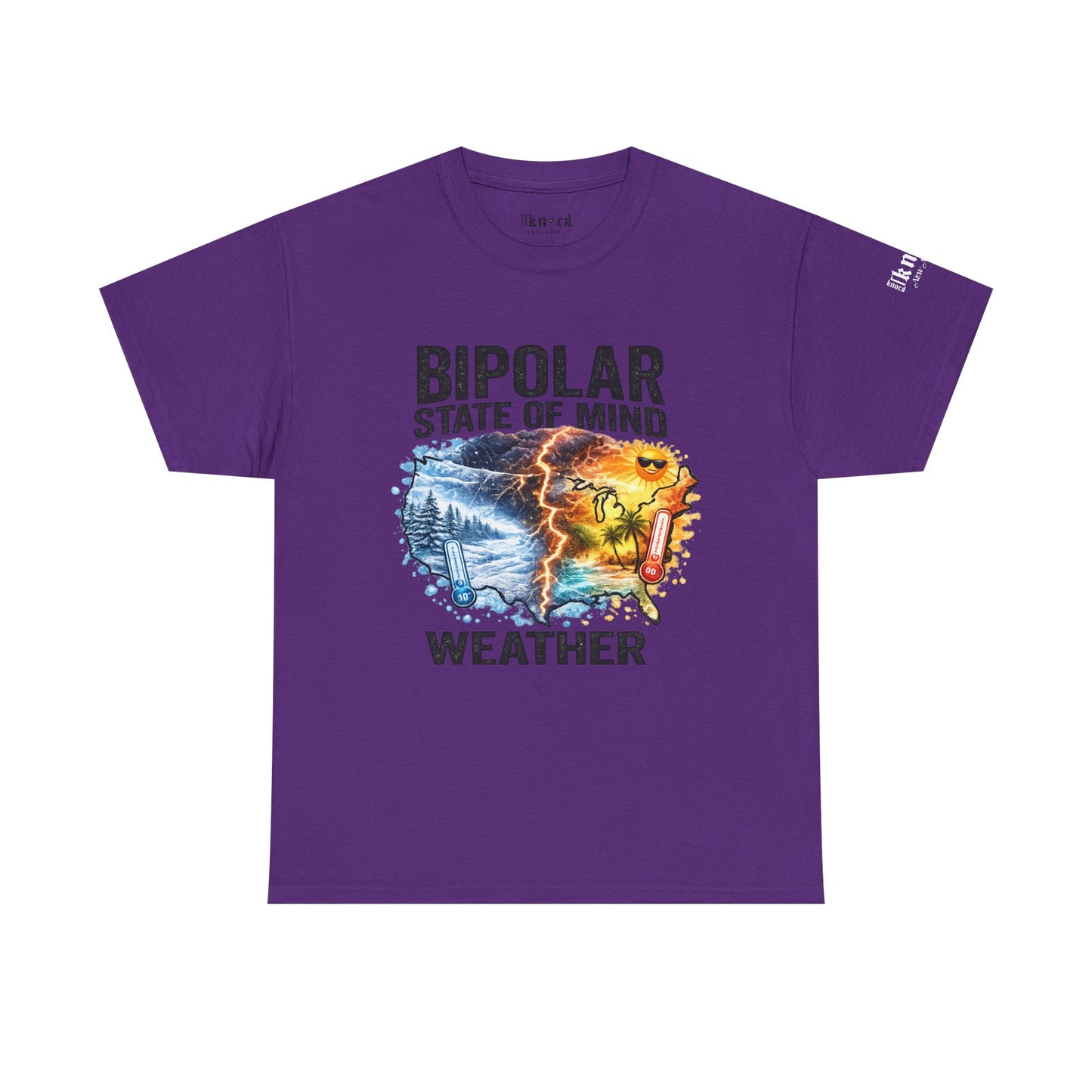 Bipolar Weather T-Shirt — "Bipolar State of Mind" Graphic Tee