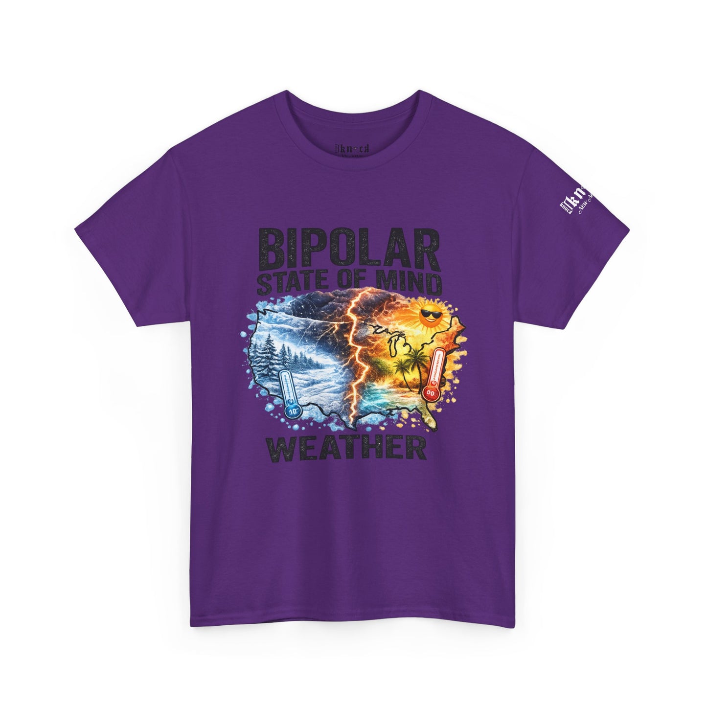 Bipolar Weather T-Shirt — "Bipolar State of Mind" Graphic Tee