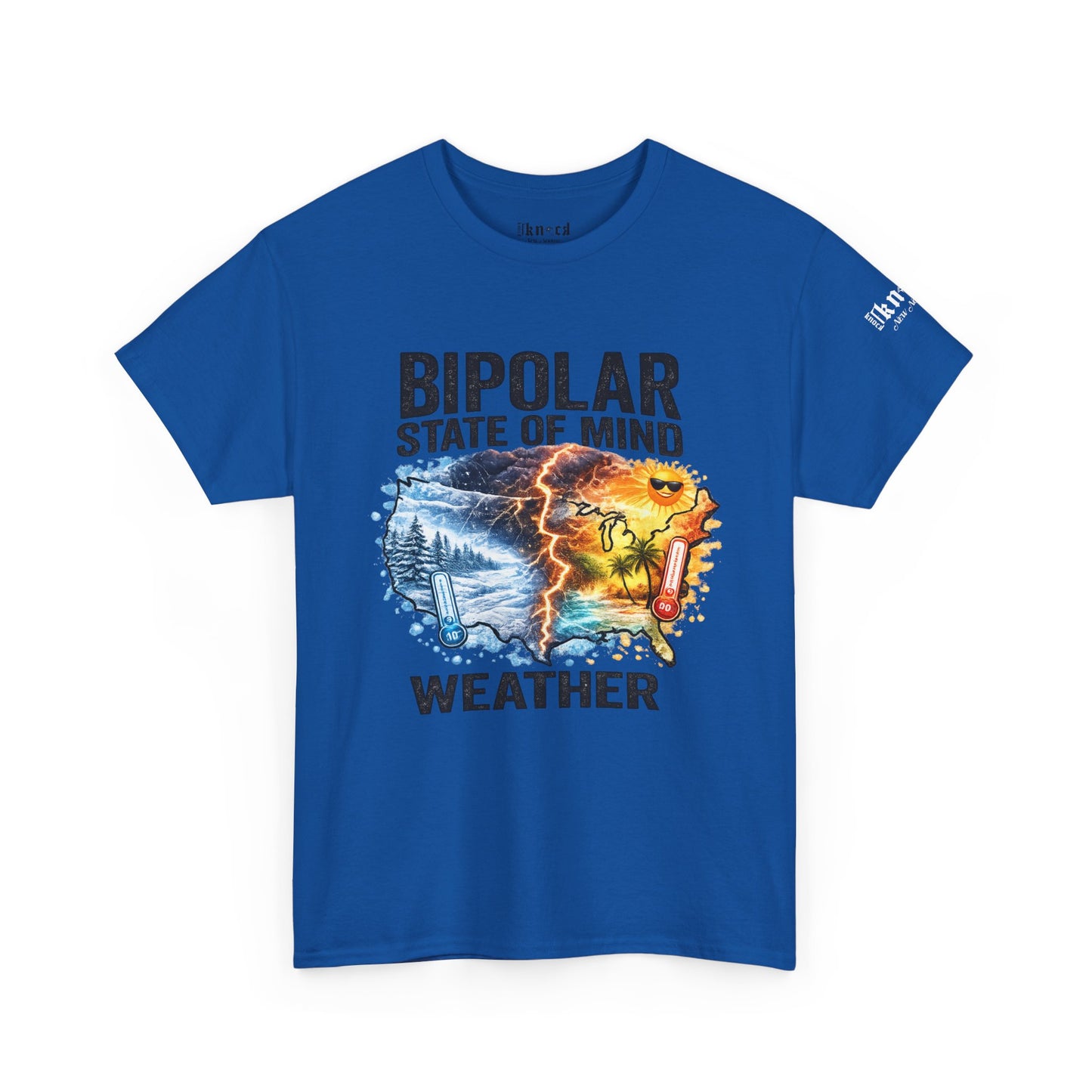Bipolar Weather T-Shirt — "Bipolar State of Mind" Graphic Tee