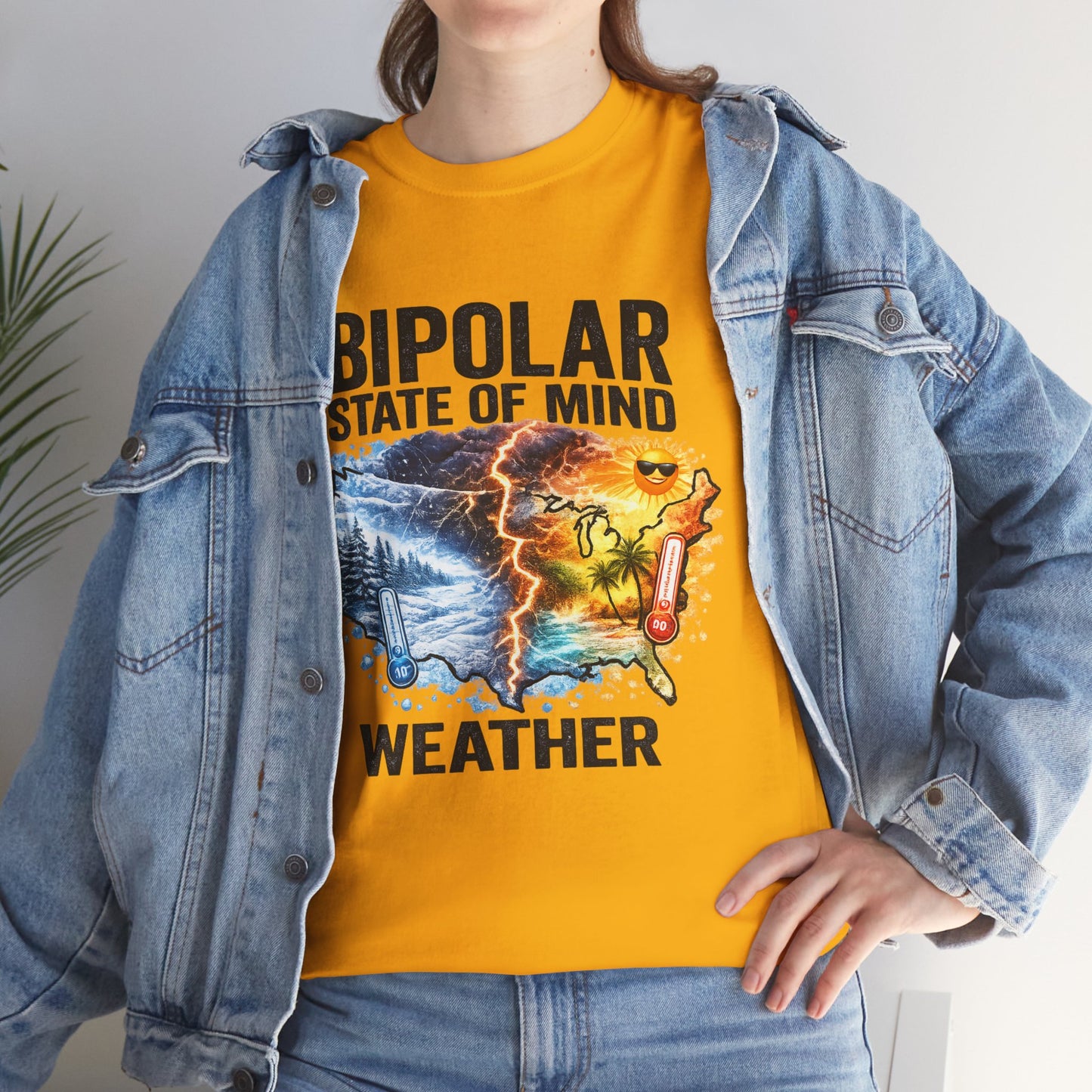 Bipolar Weather T-Shirt — "Bipolar State of Mind" Graphic Tee