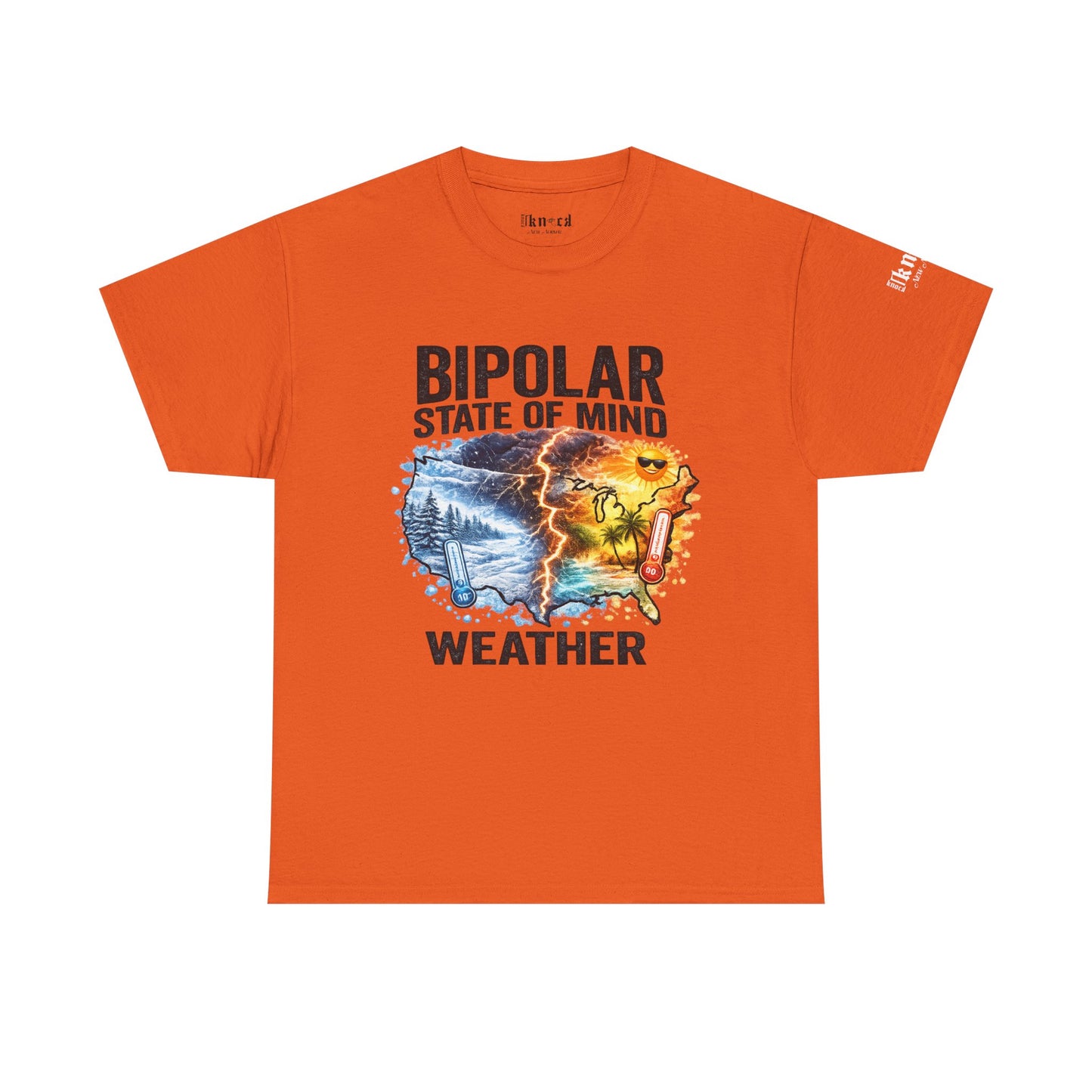 Bipolar Weather T-Shirt — "Bipolar State of Mind" Graphic Tee