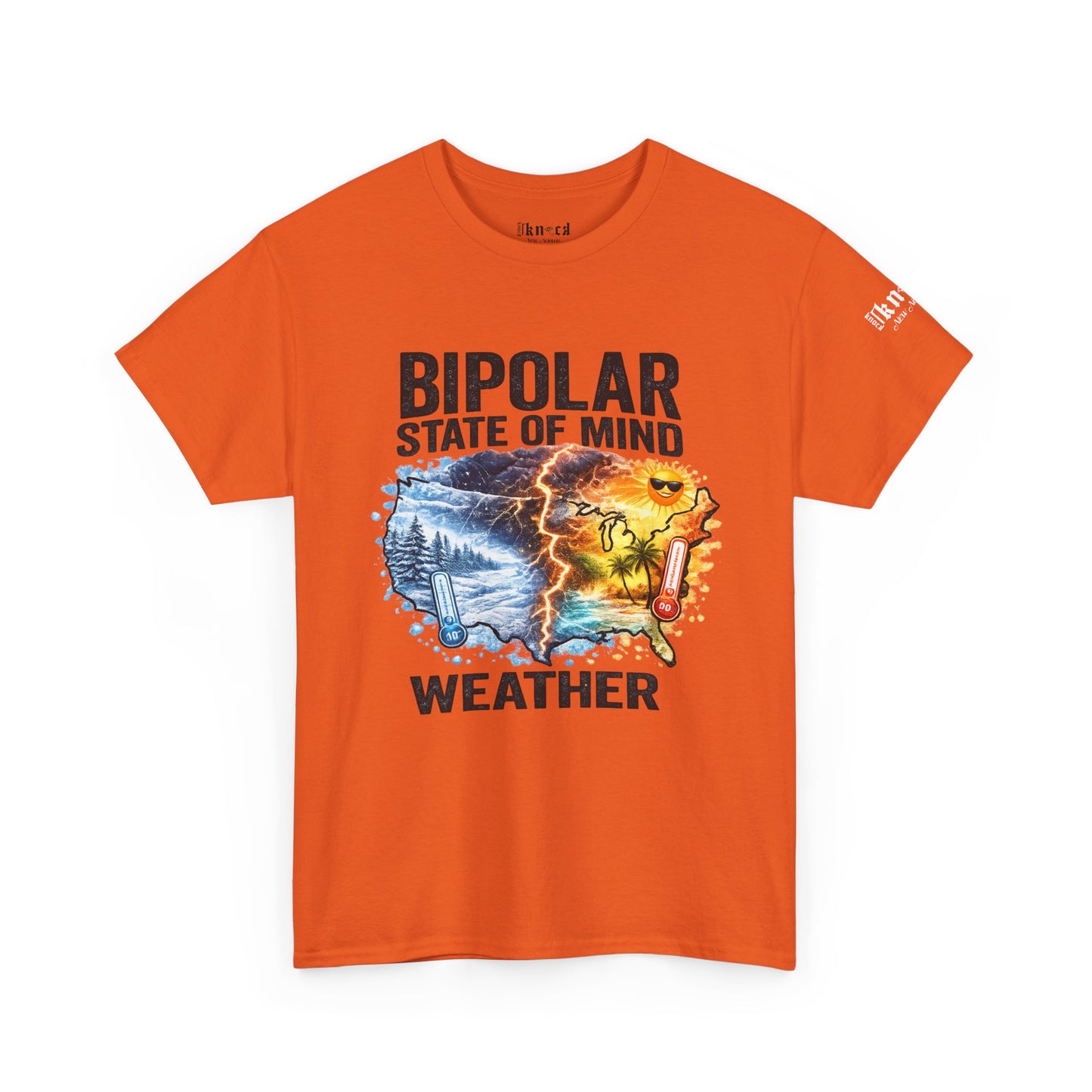 Bipolar Weather T-Shirt — "Bipolar State of Mind" Graphic Tee