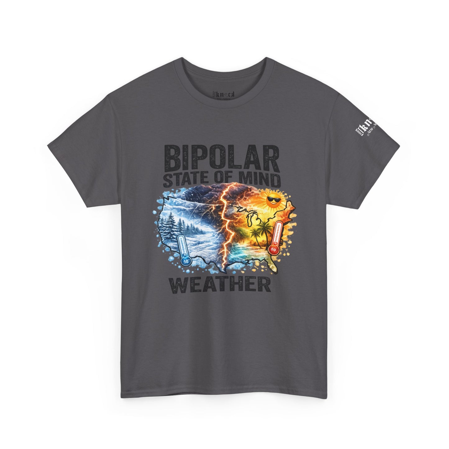 Bipolar Weather T-Shirt — "Bipolar State of Mind" Graphic Tee