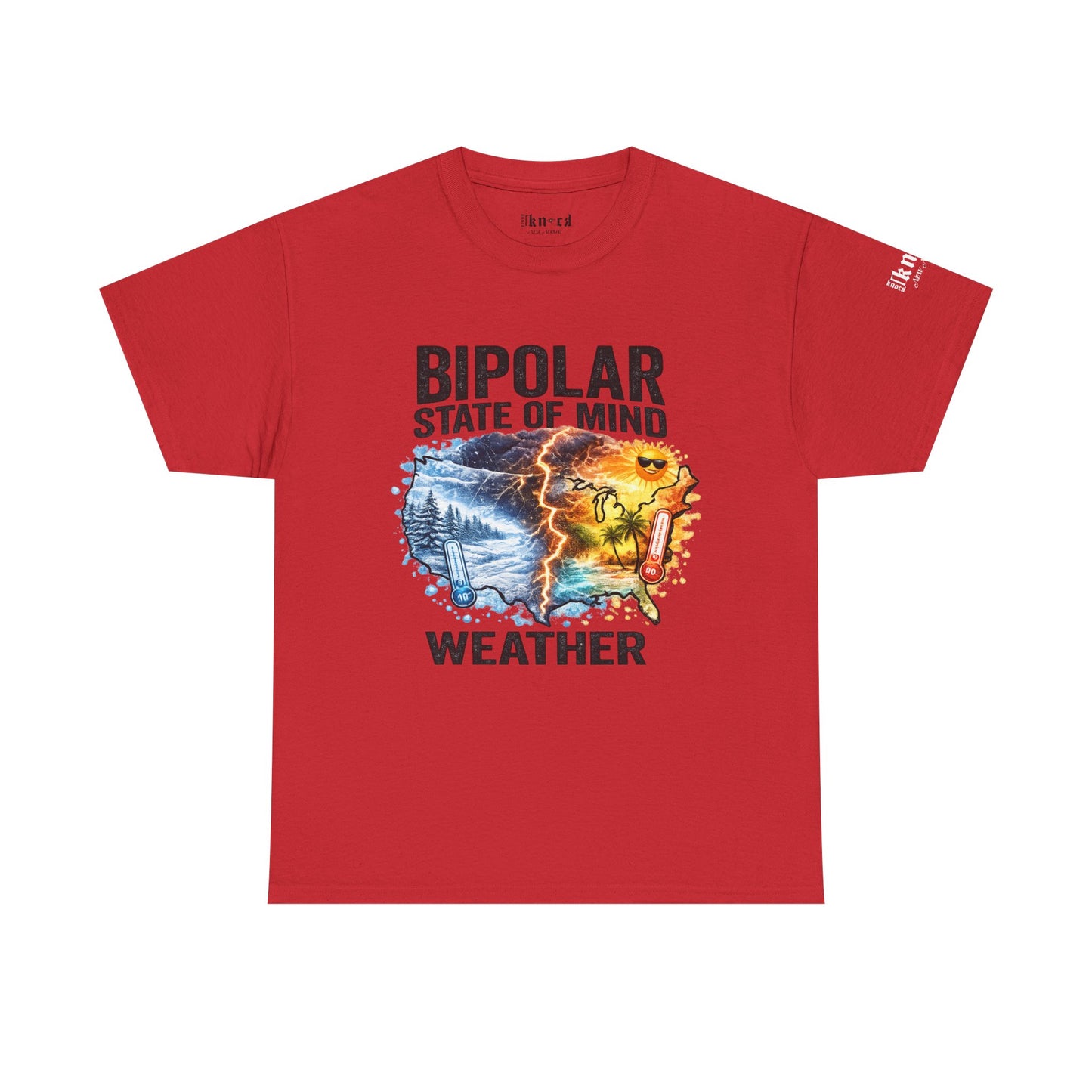 Bipolar Weather T-Shirt — "Bipolar State of Mind" Graphic Tee