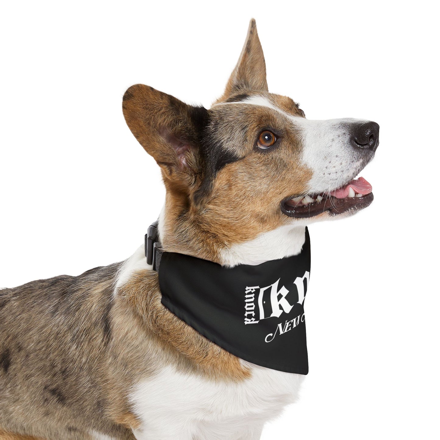 Pet Bandana Collar — 'knocd: A New Normal' Gothic Dog Bandana Collar