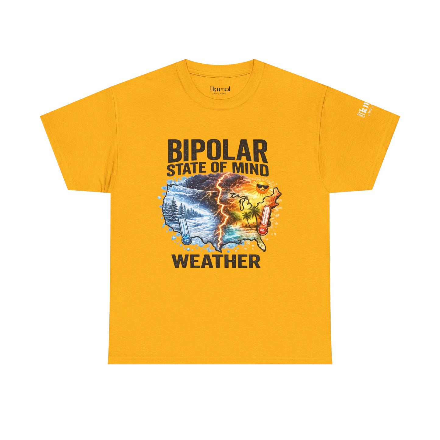 Bipolar Weather T-Shirt — "Bipolar State of Mind" Graphic Tee