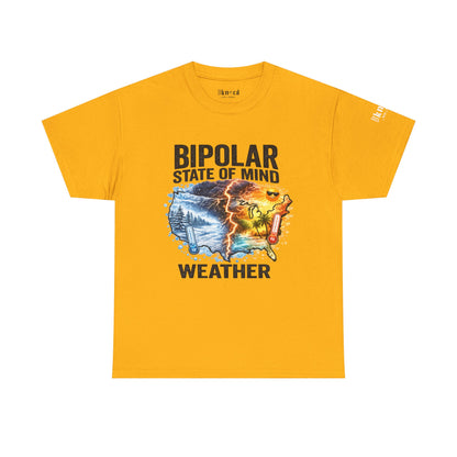 Bipolar Weather T-Shirt — "Bipolar State of Mind" Graphic Tee